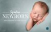 [АНА БРАНДТ] LSP Actions by Lemon Sky - Signature Newborn Photoshop Action Collection