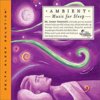 [Jeffrey Thompson] Ambient Music for Sleep (2001)